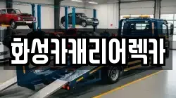 경기 화성시 금곡동 렉카, 특수렉카, 차량탁송, 견인운송