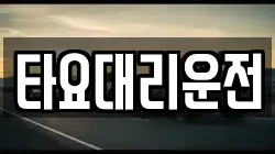 타요대리운전