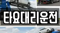 타요대리운전