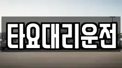 타요대리운전
