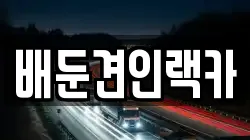 배둔견인랙카