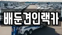 배둔견인랙카