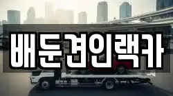 배둔견인랙카