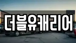 더블유캐리어