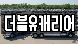 더블유캐리어