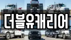 더블유캐리어