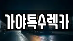 가야특수렉카