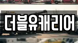 더블유캐리어