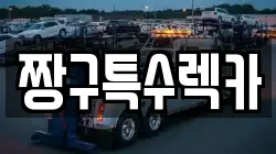 짱구특수렉카