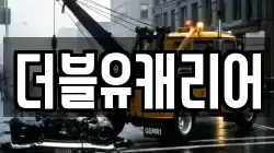 더블유캐리어