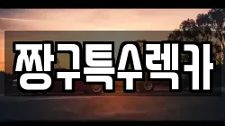 경남 김해시 장유동 렉카, 특수렉카, 차량탁송, 견인운송