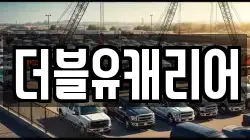 더블유캐리어