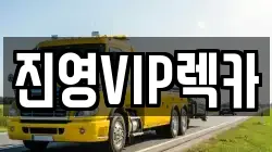 진영VIP렉카