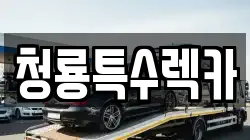청룡특수렉카