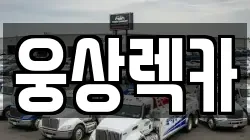 웅상렉카