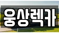 웅상렉카
