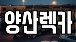 경남 양산시 원동면 렉카, 특수렉카, 차량탁송, 견인운송