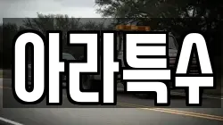아라특수