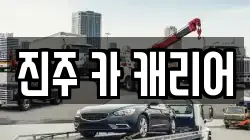 진주 카 캐리어