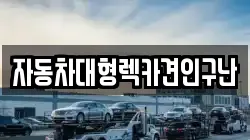 자동차대형렉카견인구난