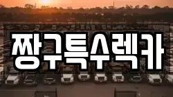 경남 렉카, 특수렉카, 차량탁송, 견인운송