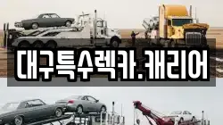 대구특수렉카.캐리어