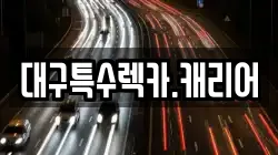 대구특수렉카.캐리어