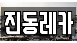 진동레카