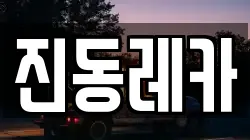 진동레카