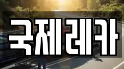 국제레카