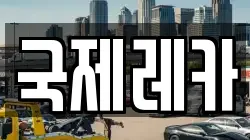 국제레카
