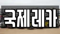 국제레카