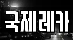 국제레카