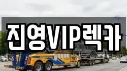 진영VIP렉카