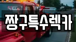 짱구특수렉카