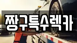 짱구특수렉카