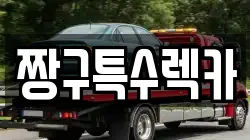 경남 창원시 진해구 렉카, 특수렉카, 차량탁송, 견인운송