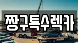 경남 창원시 진해구 청안동 렉카, 특수렉카, 차량탁송, 견인운송