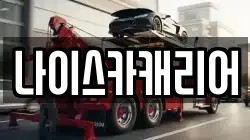 나이스카캐리어