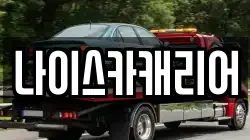 나이스카캐리어