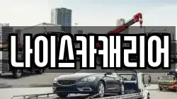 나이스카캐리어