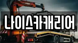 나이스카캐리어