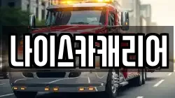 나이스카캐리어
