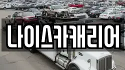 나이스카캐리어