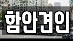 함안견인