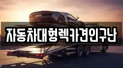 자동차대형렉카견인구난