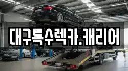 대구특수렉카.캐리어