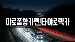야로종합카쎈타야로렉카