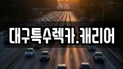 대구특수렉카.캐리어
