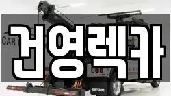 건영렉카